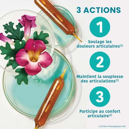 Santarome Harpagophytum 2000 20 Ampoules Bio Douleurs articulaires 20 ampoules