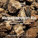 Santarome Harpagophytum 2000 20 Ampullen Bio Douleurs articulaires 20 Ampullen