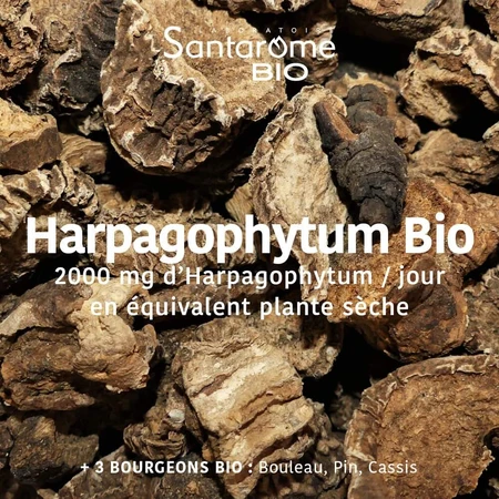 Santarome Harpagophytum 2000 20 Ampoules Bio Douleurs articulaires 20 ampoules