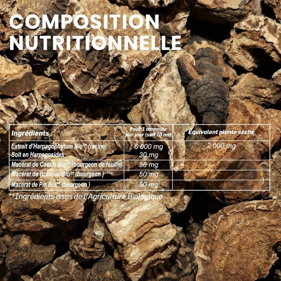 Santarome Harpagophytum 2000 20 Ampullen Bio Douleurs articulaires 20 Ampullen Santarome Harpagophytum 2000 20 Ampullen Bio Douleurs articulaires 20 Ampullen