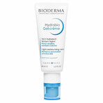 Bioderma Hydrabio Trattamento Idratante Texture Leggera Pelli Sensibili Normali a Miste 40ml Bioderma Hydrabio Trattamento Idratante Texture Leggera Pelli Sensibili Normali a Miste 40ml