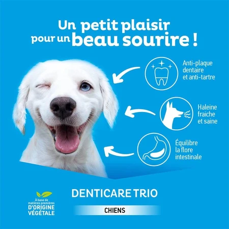 Clement-Thekan Denticare Trio Tiras masticables para perros de 10 a 30 kg 15 tiras
