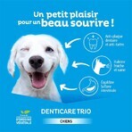 Clement-Thekan Denticare Trio Tiras masticables para perros de 10 a 30 kg 15 tiras Clement-Thekan Denticare Trio Tiras masticables para perros de 10 a 30 kg 15 tiras
