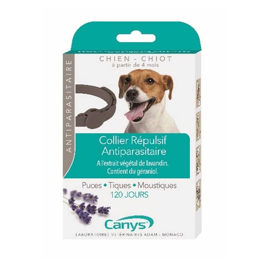 Canys Insektenschutz-Halsband für Hunde und Welpen 60 cm