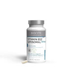 Biocyte Vitaminen B12 Liposomaal 500µg Végétalien 30 Gélules Biocyte Vitaminen B12 Liposomaal 500µg Végétalien 30 Gélules