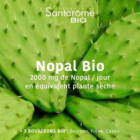 Santarome Mi supresor del apetito Bio Aide à la perte de poids 60 gommine