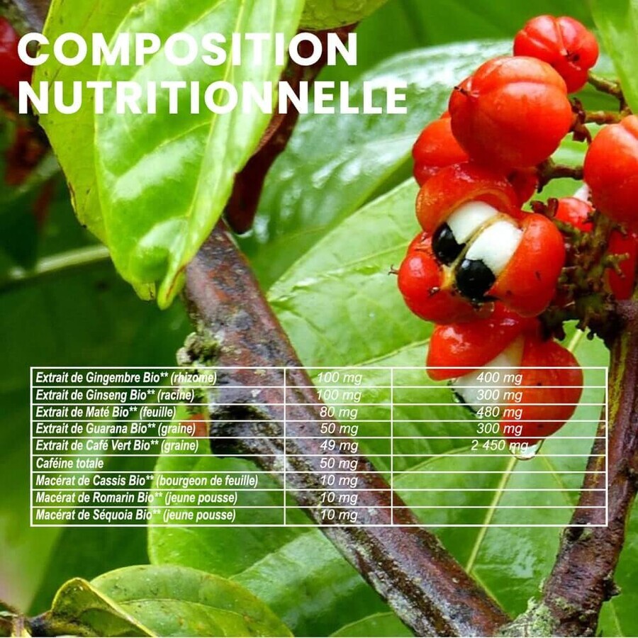 Santarome Mein Appetitzügler Bio Aide à la perte de poids 60 gommine