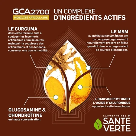 GCA Gewrichten, 120 + 60 tabletten, Santé Verte 