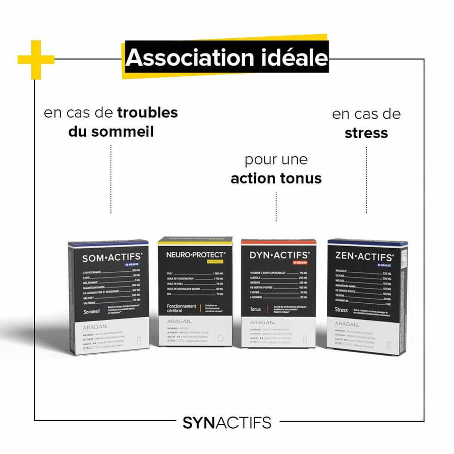 Aragan Synactifs Neuroprotecția funcției creierului 60 capsule