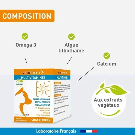 Vetoform Chien et Chat Complément alimentaire multivitaminé 100g