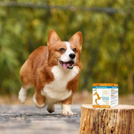Vetoform Chien et Chat Complément alimentaire multivitaminé 100g