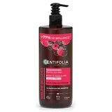 Centifolia Brillance Sublime Shine Shampoo Für alle Haartypen 500ml