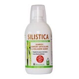 Holistica Bamboe Silicium en Marine Collageen 500ml