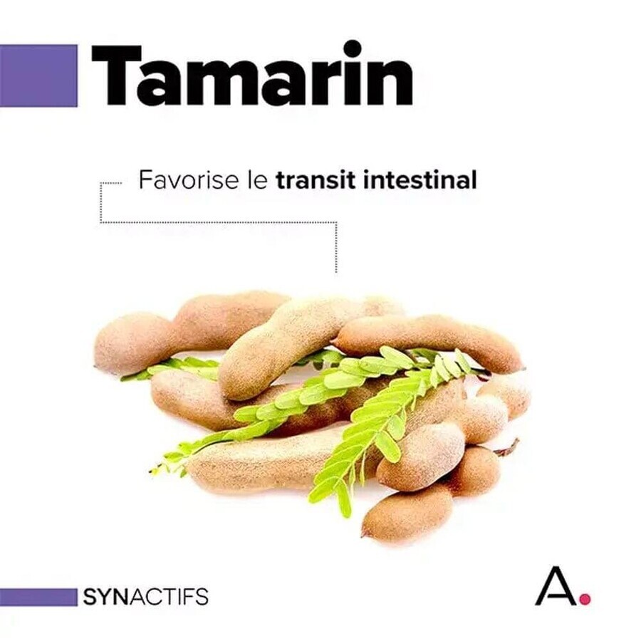 Aragan Synactifs TransitActifs 20 capsules