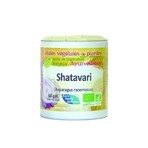 Ayur-Vana Shatavari Organic Desire and Female Health Stimulant 60 Capsules