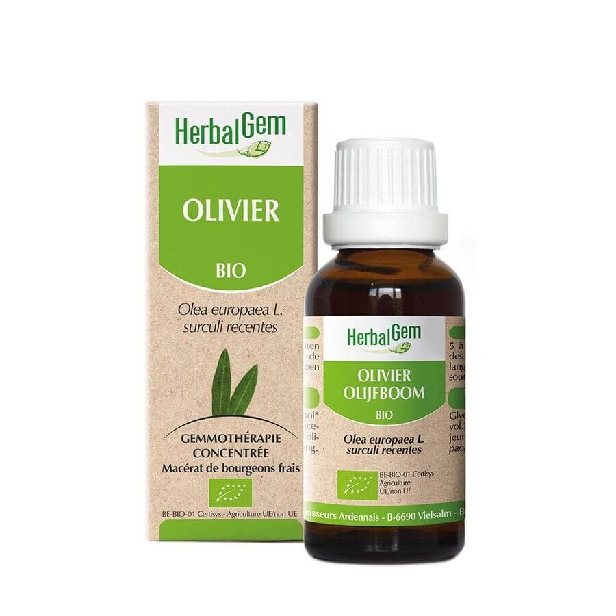 Acquista Herbalgem Ulivo Bio 30ml Herbalgem Ulivo Bio 30ml
