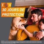 Frontline Frontpro Antiparasitaire Très Grand Chien 25-50kg Puces et Tiques x3 comprimés Frontline Frontpro Antiparasitaire Très Grand Chien 25-50kg Puces et Tiques x3 comprimés