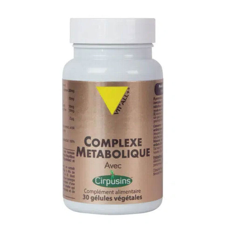Comprar Vit'All+ Complexe Metabolique 30 gélules végétales Vit'All+ Complexe Metabolique 30 gélules végétales