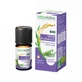 Naturactive Essential Oil of Thyme Linalool - Bio 5 ml