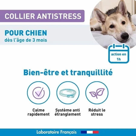 Vetoform Chien Collier Calmant 1 Unite A Base De Valeriane A base de valériane