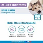 Vetoform Colier pentru câini Calm 1 unitate pe bază de valeriană Vetoform Colier pentru câini Calm 1 unitate pe bază de valeriană