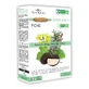 Flora Natura Leber-Komplex 4+ fumisteria 20 Ampullen