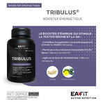 Eafit Tribulus Synthese Testosterone 90 Tablets