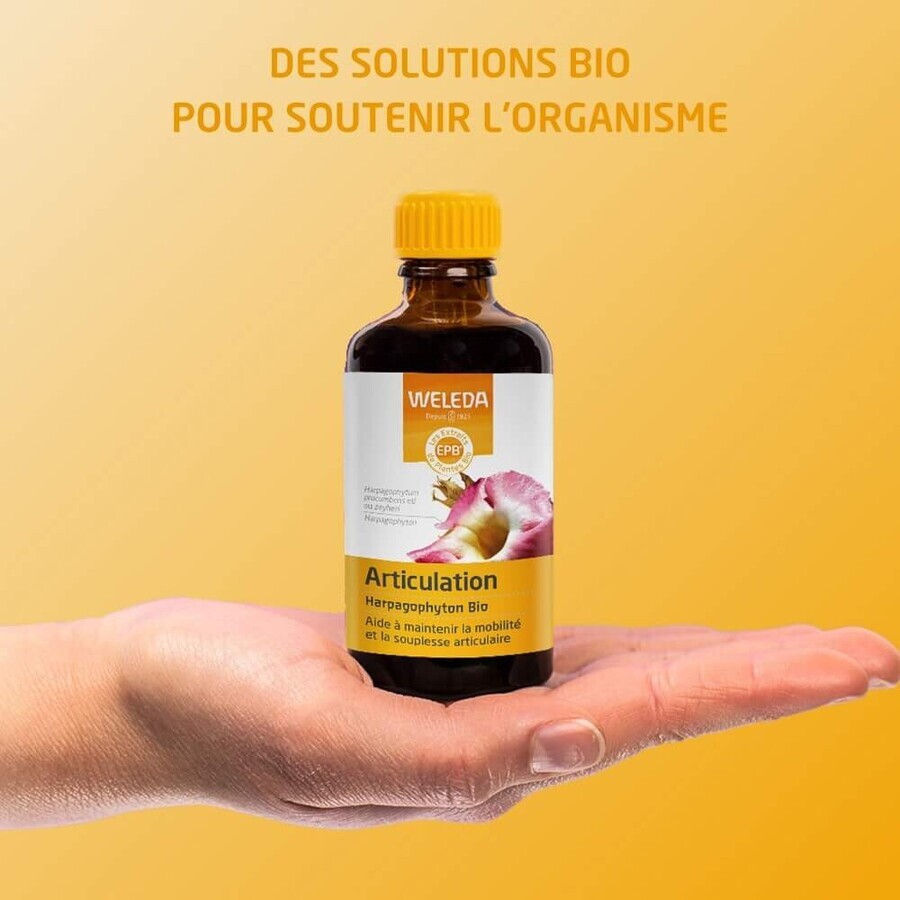 Weleda Extractos Vegetales Ecológicos Harpagophyton 100ml
