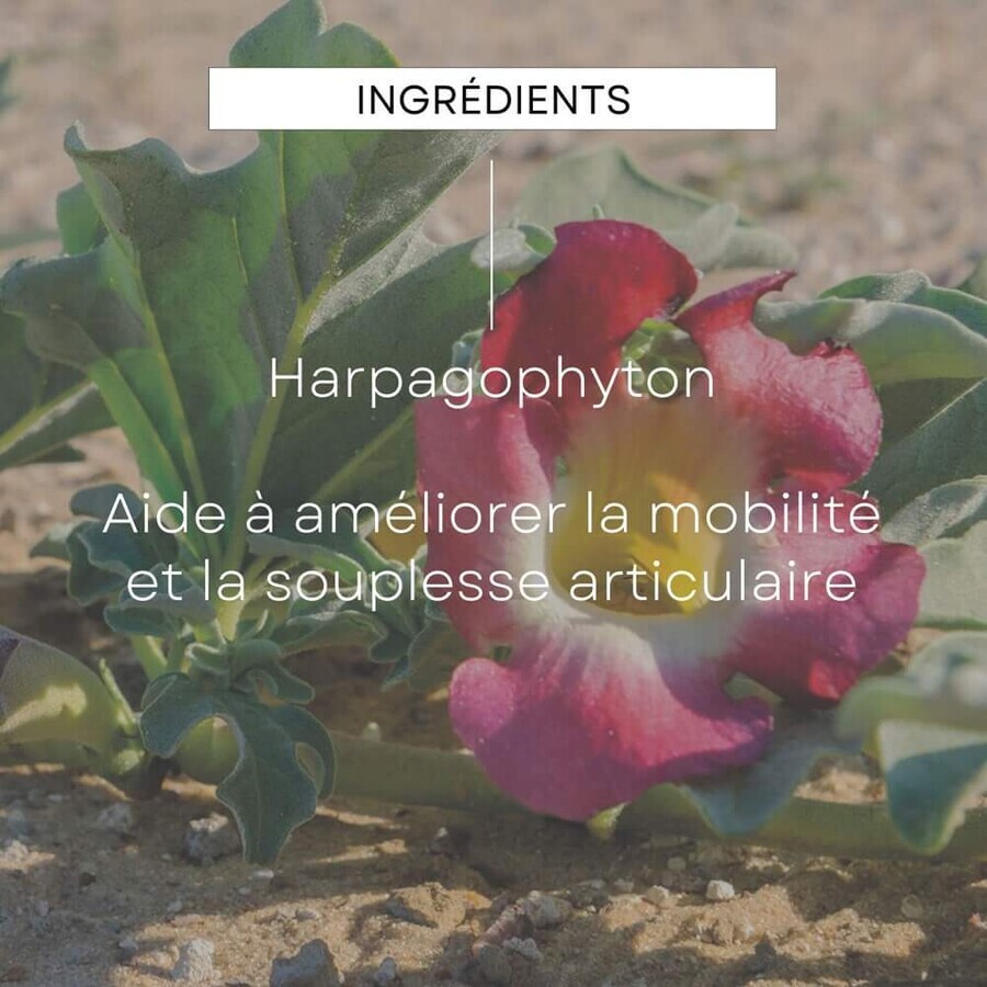 Weleda Extractos Vegetales Ecológicos Harpagophyton 100ml