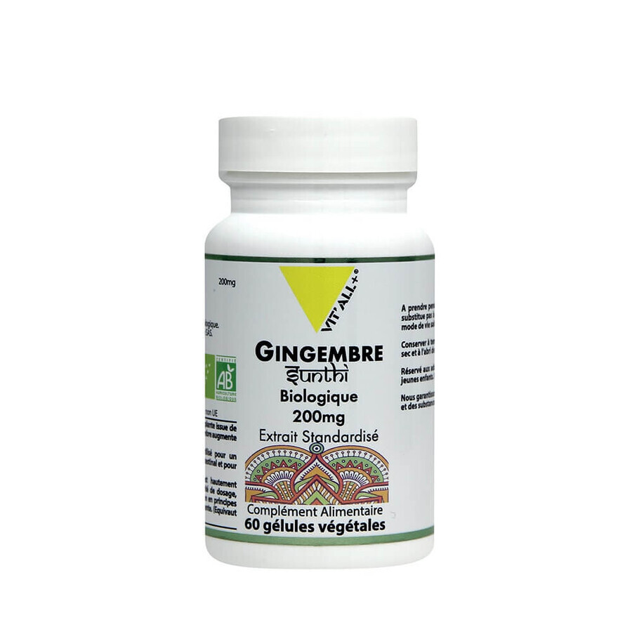 Vit'All+ Bio-Ingwer 200 mg standardisierter Extrakt 60 Kapseln