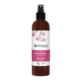 Centifolia Floral Waters Damask Rose Floral Water 200 ml