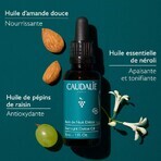 Caudalie Vinergetic C+ Detox Aceite de Noche Bio 30ml Caudalie Vinergetic C+ Detox Aceite de Noche Bio 30ml