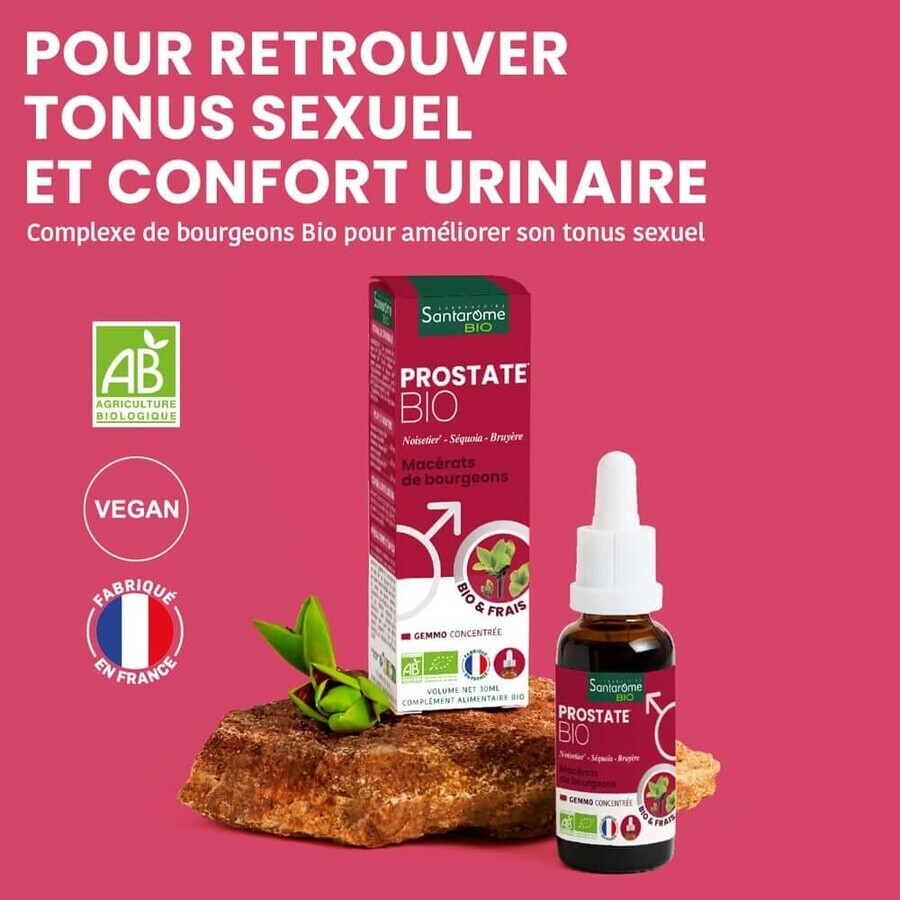 Santarome Complexe Prostate Bio Gémmothérapie 30 ml Santarome Complexe Prostate Bio Gémmothérapie 30 ml