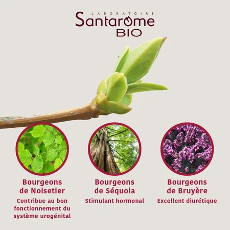 Santarome Complexe Prostata Bio Gémmothérapie 30 ml