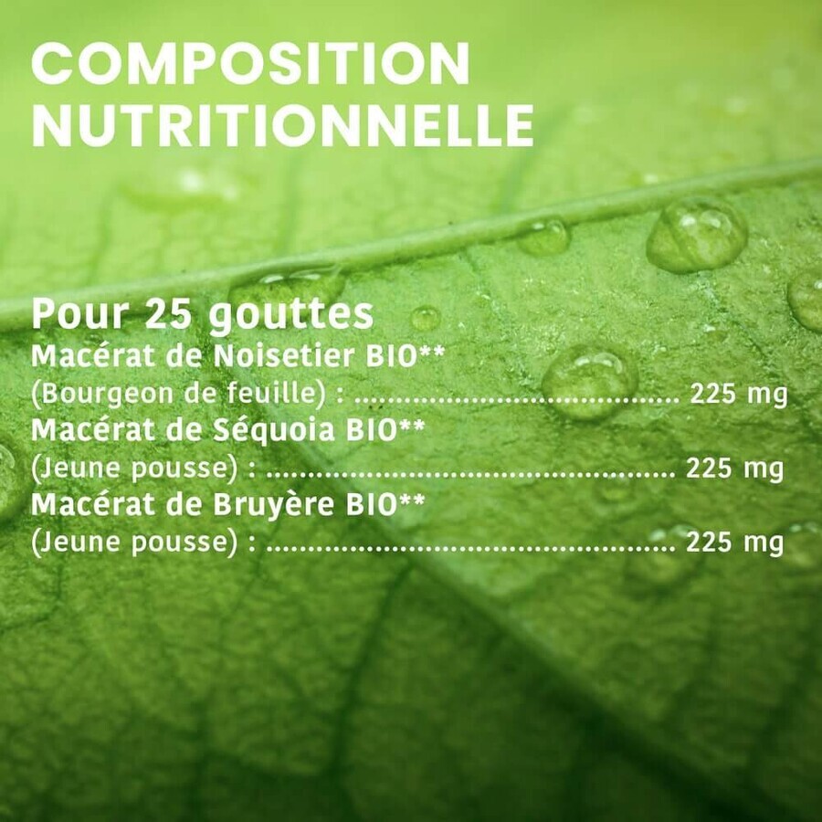 Santarome Complexe Prostate Bio Gémmothérapie 30 ml Santarome Complexe Prostate Bio Gémmothérapie 30 ml