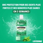 Listerine Defence Fresh Mint Bath Tand- en tandvleesbescherming 500ml