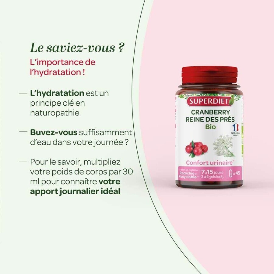 Superdiet Cranberry Reine Des Prés Bio Confort Urinaire 45 Gélules Superdiet Cranberry Reine Des Prés Bio Confort Urinaire 45 Gélules
