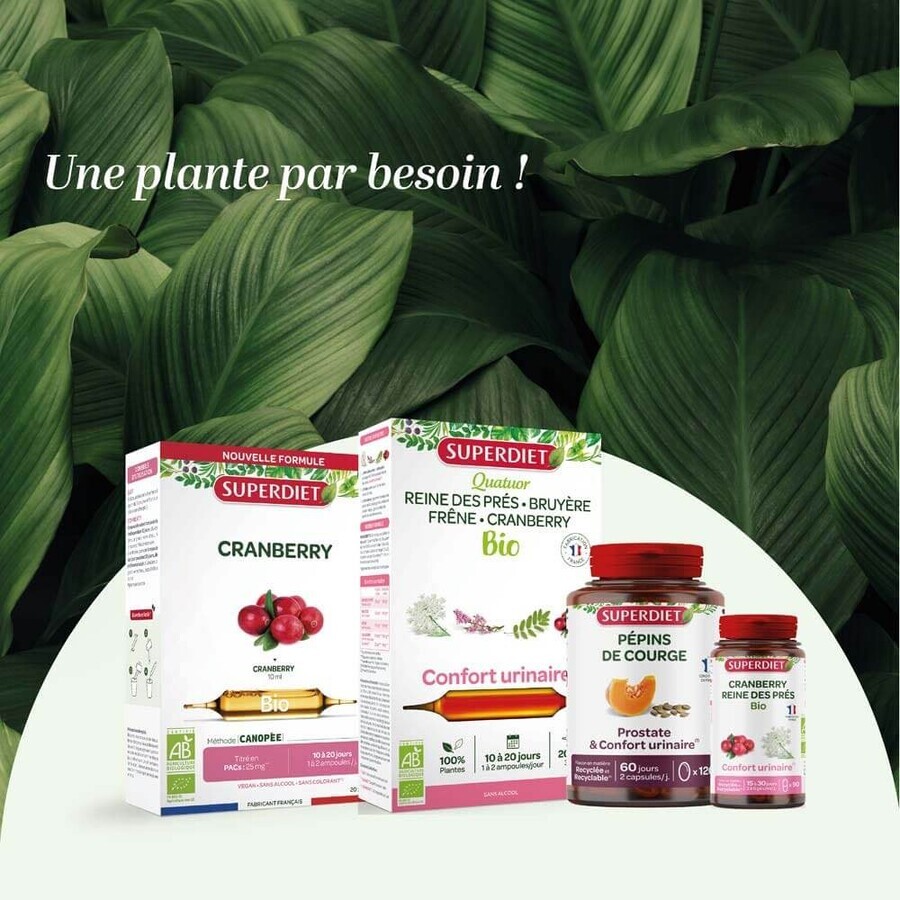 Superdiet Cranberry Reine Des Prés Bio Confort Urinaire 45 Gélules Superdiet Cranberry Reine Des Prés Bio Confort Urinaire 45 Gélules