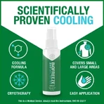 Biofreeze Verkoudheidsspray 118 ml