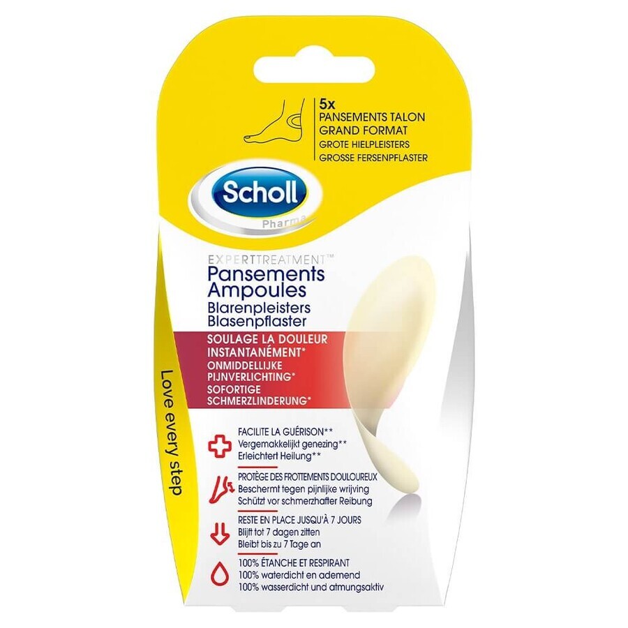 Buy Ampoules Pansements Grand Format 5 Pansements x5 Scholl Ampoules Pansements Grand Format 5 Pansements x5 Scholl