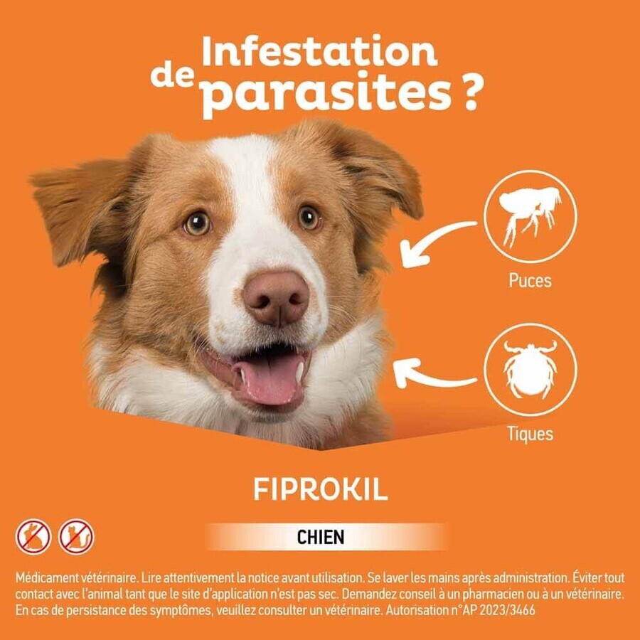 Clement-Thekan Fiprokil Flöhe und Zecken für Hunde 2-10 kg 0,67ml x 4 Pipetten