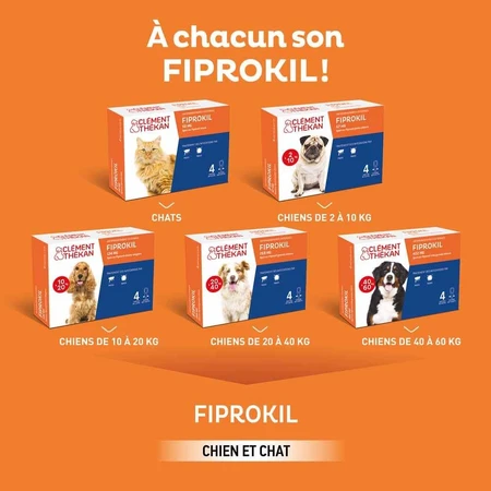 Clement-Thekan Fiprokil Flöhe und Zecken für Hunde 2-10 kg 0,67ml x 4 Pipetten