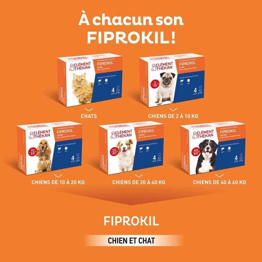 Clement-Thekan Fiprokil Flöhe und Zecken für Hunde 2-10 kg 0,67ml x 4 Pipetten