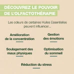Pranarôm Aromaboost Immunität Roll-On Bio 5ml