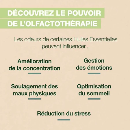 Pranarôm Aromaboost Immunität Roll-On Bio 5ml
