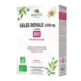 Biocyte Pappa reale 1500 mg + Acerola biologica 20 fiale