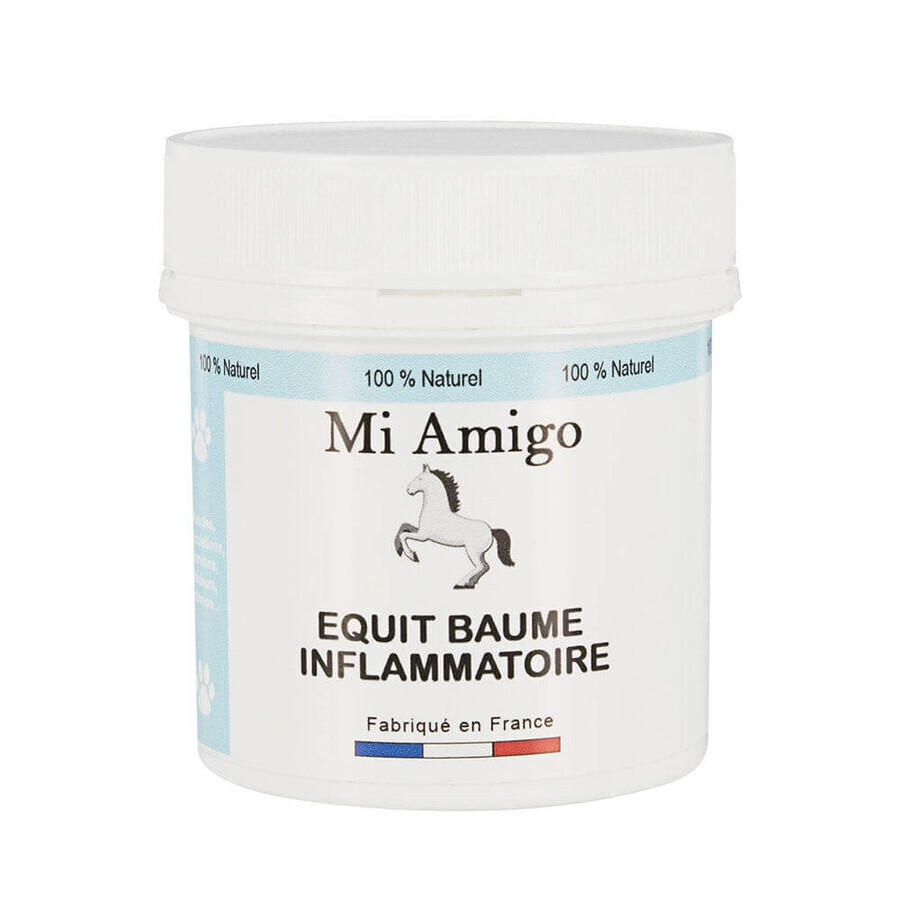 Acquista Mi Amigo Balsamo infiammatorio Equit 80g Mi Amigo Balsamo infiammatorio Equit 80g