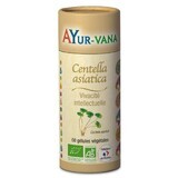 Ayur-Vana Centella asiatica (Gotu kola) organic x60 capsule