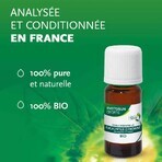 Phytosun Aroms Essential Oil Eucalyptus Lemon 10ml