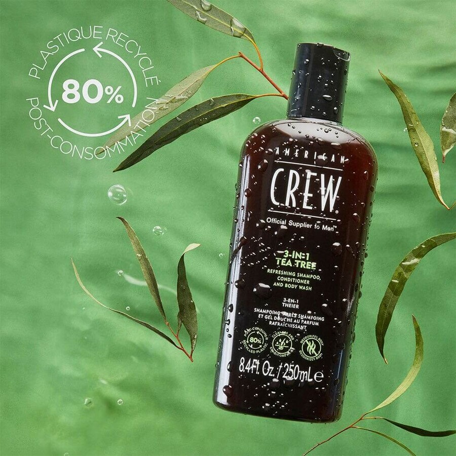 American Crew Champú 3 en 1 Árbol del Té 100ml American Crew Champú 3 en 1 Árbol del Té 100ml